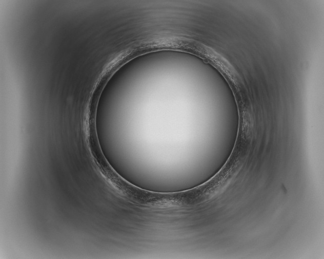 X0000110320578200905211528