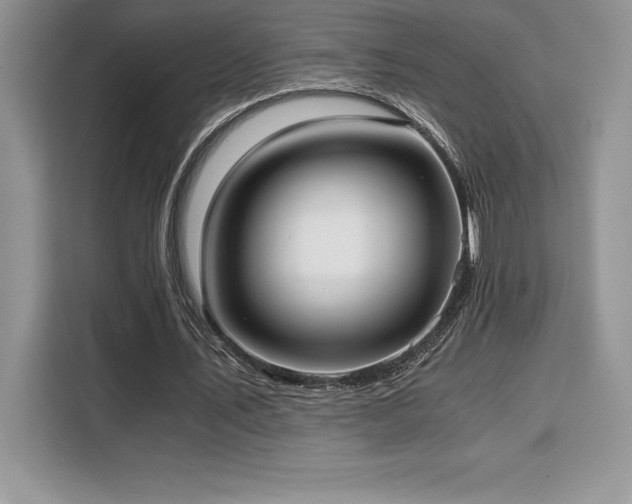 X0000110320579200905211528
