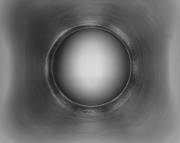 X0000110320580200905211528