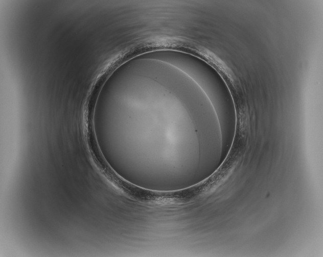 X0000110320581200905211528