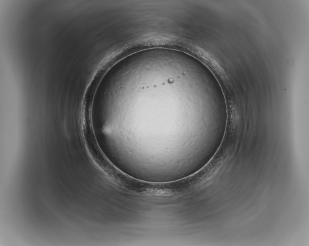 X0000110320582200905211528