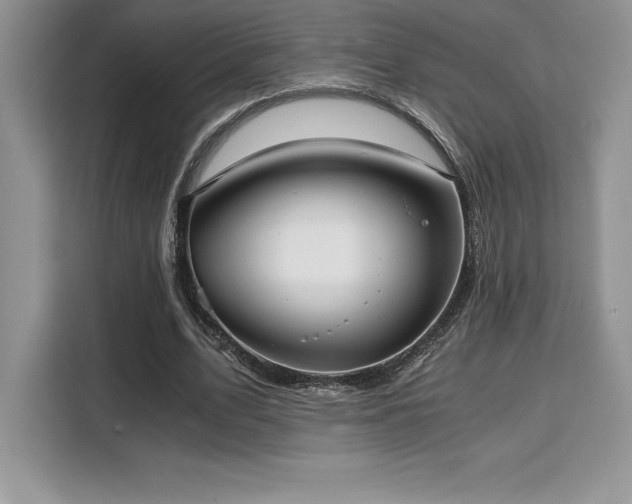 X0000110320583200905211528