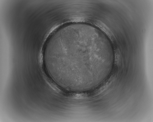 X0000110320584200905211528