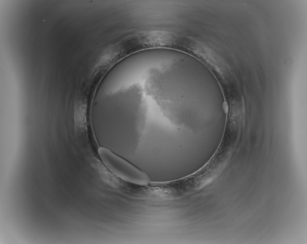 X0000110320585200905211528
