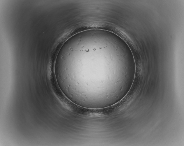 X0000110320586200905211528