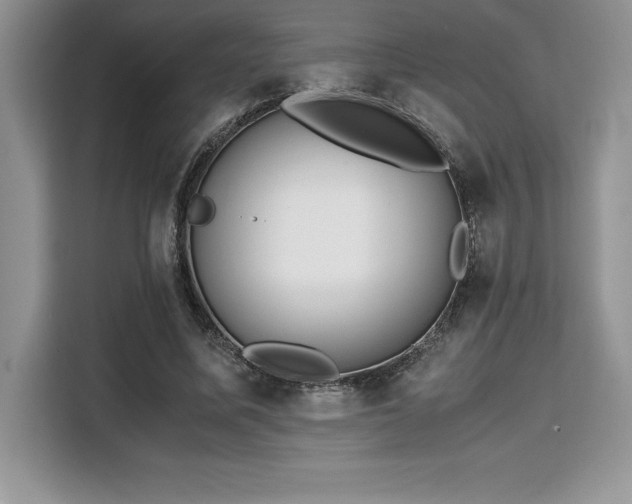 X0000110320587200905211528