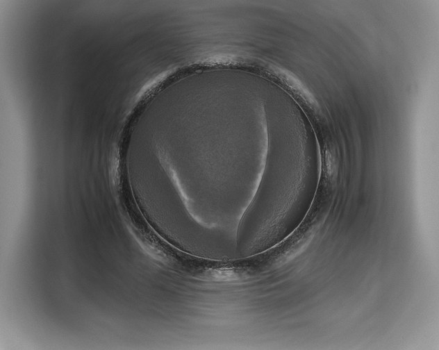 X0000110320588200905211528