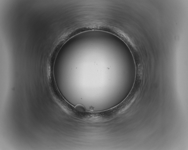 X0000110320589200905211528
