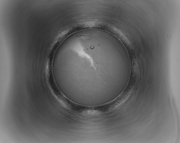 X0000110320590200905211528