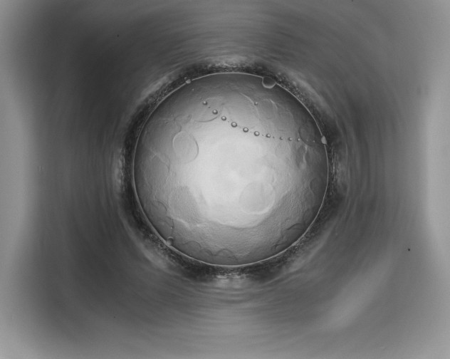 X0000110320591200905211528