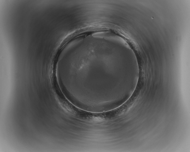 X0000110320592200905211528