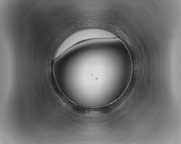 X0000110320593200905211528