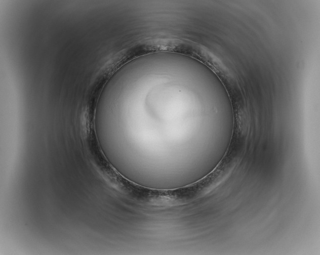 X0000110320594200905211528