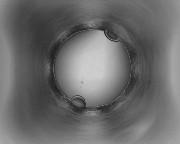 X0000110320595200905211528