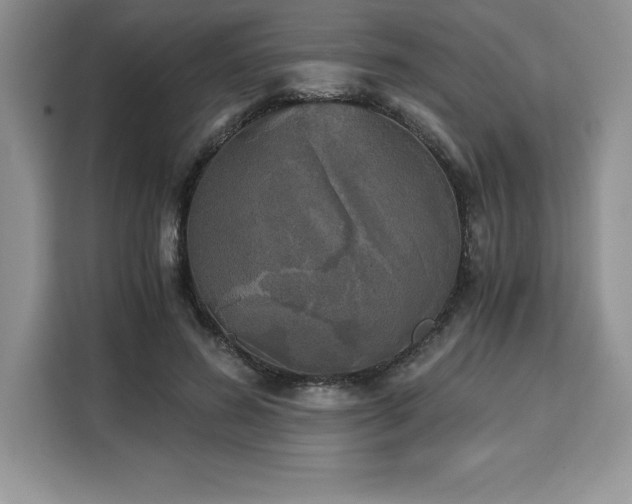 X0000110320596200905211528