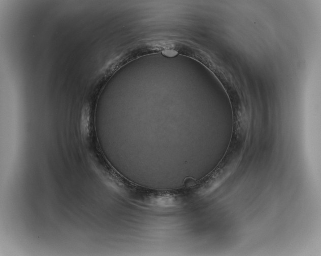 X0000110320600200905211528