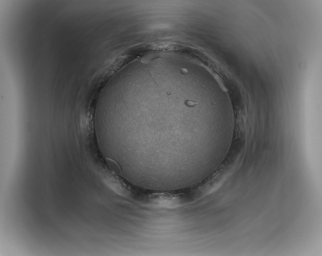 X0000110320601200905211528