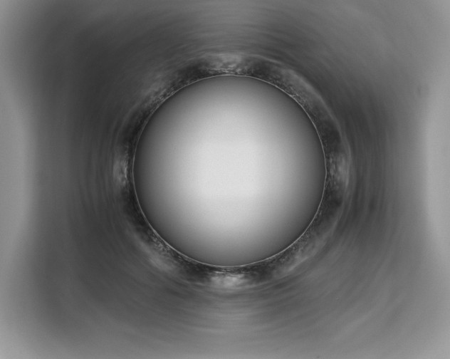 X0000110320602200905211528