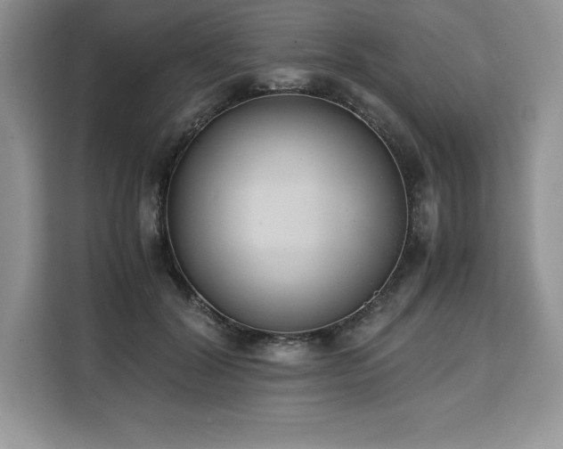 X0000110320604200905211528
