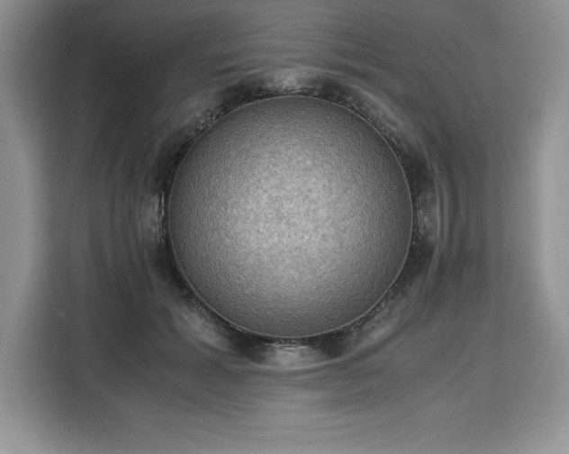 X0000110320605200905211528