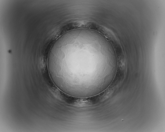 X0000110320607200905211528