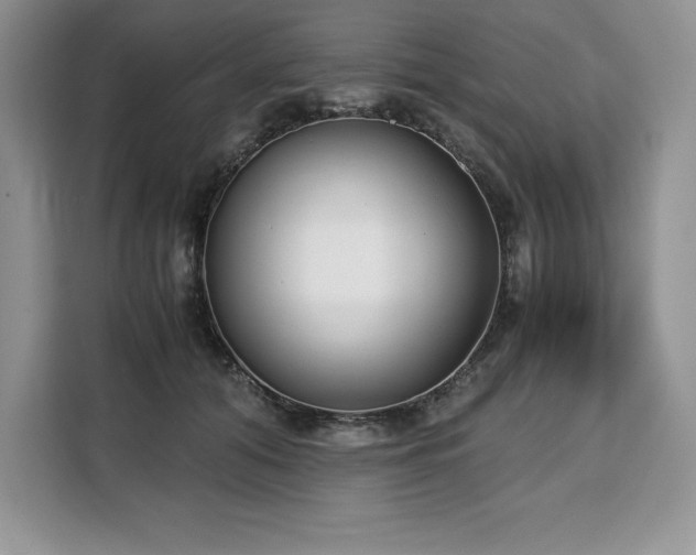 X0000110320608200905211528