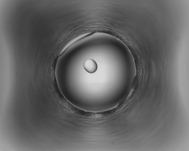 X0000110320609200905211528