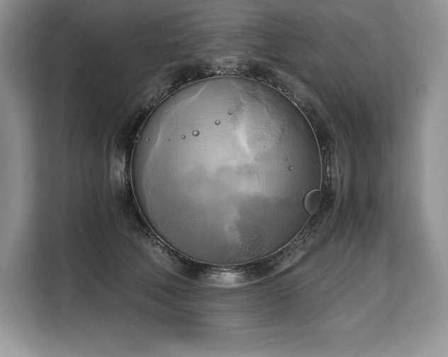 X0000110320610200905211528