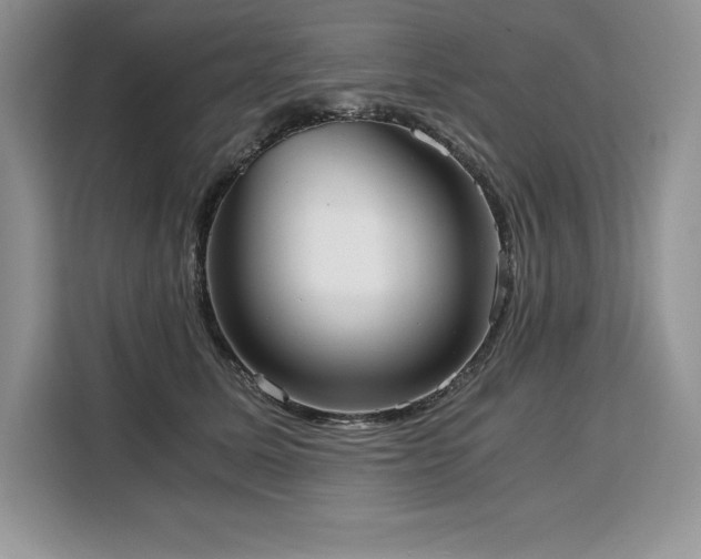 X0000110320611200905211528
