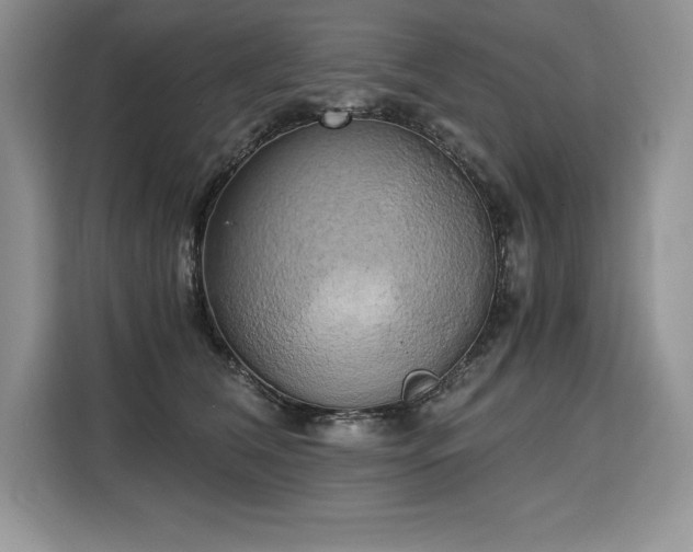 X0000110320612200905211528
