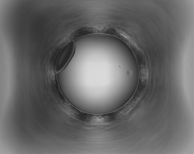 X0000110320613200905211528