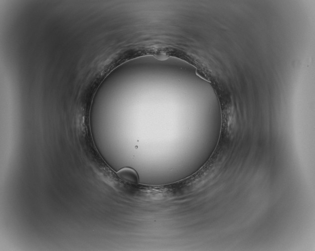 X0000110320615200905211528