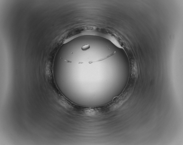 X0000110320616200905211528