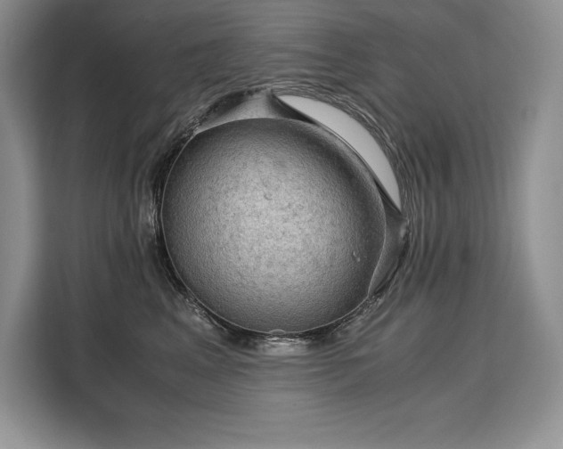 X0000110320617200905211528
