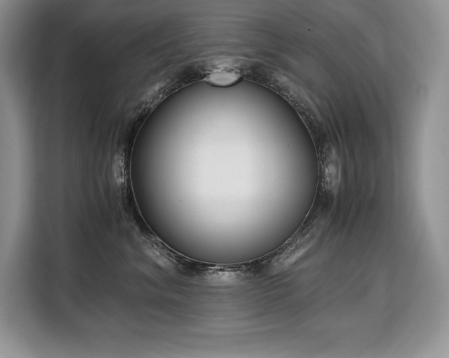 X0000110320620200905211527