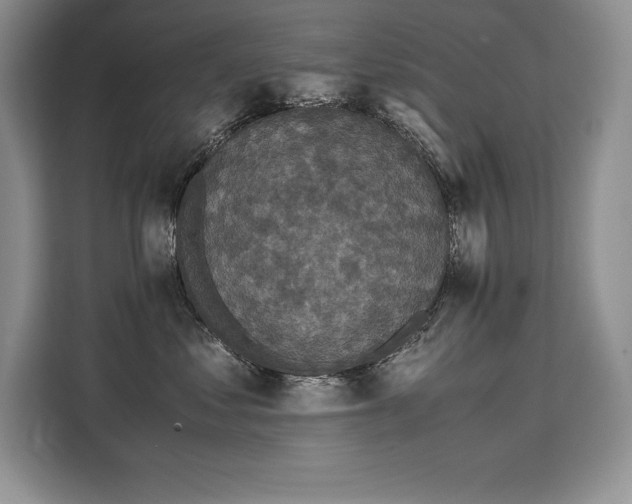 X0000110320621200905211527