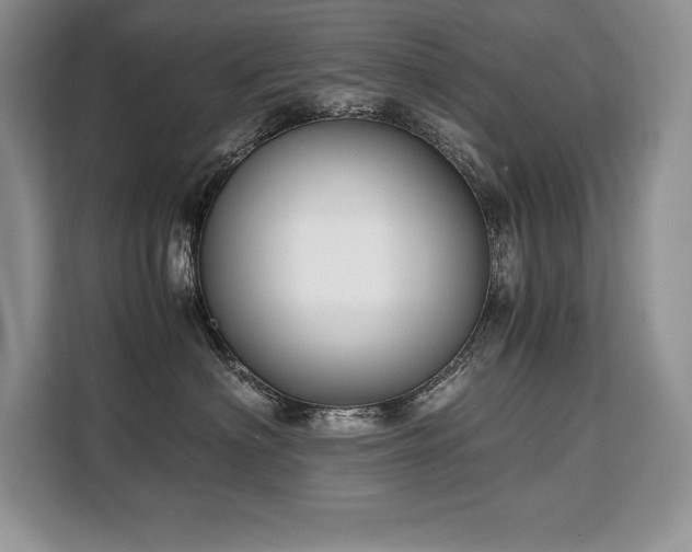 X0000110320622200905211527