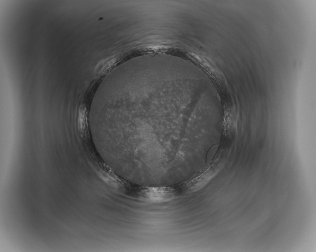 X0000110320623200905211527
