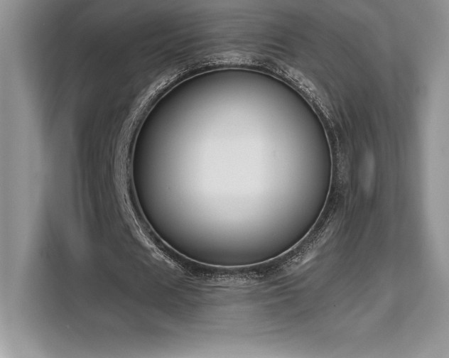 X0000110320625200905211527