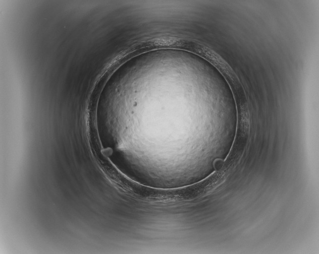 X0000110320626200905211527