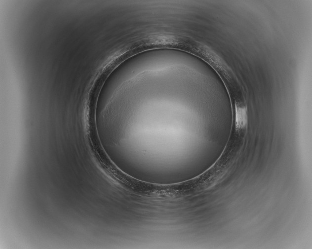 X0000110320627200905211527