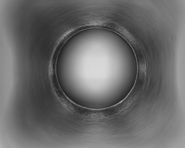 X0000110320628200905211527