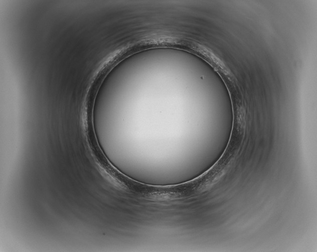 X0000110320629200905211527