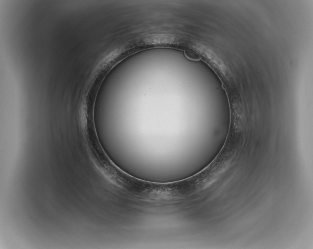 X0000110320631200905211527