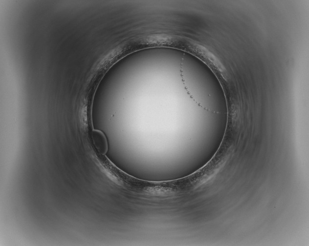 X0000110320633200905211527