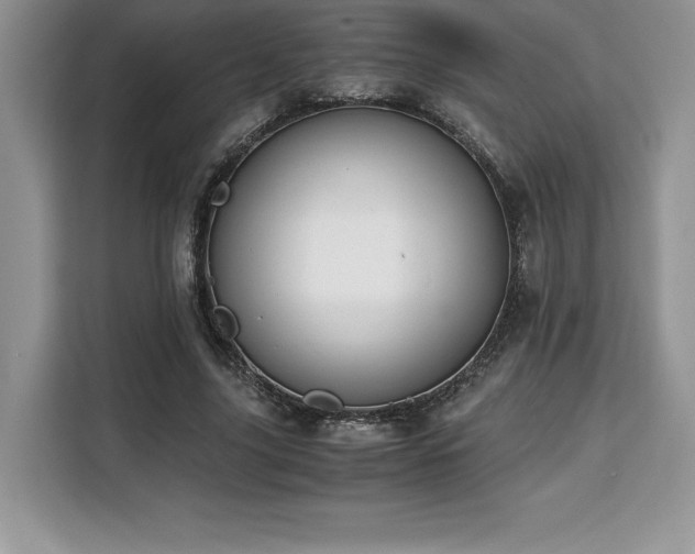 X0000110320635200905211527