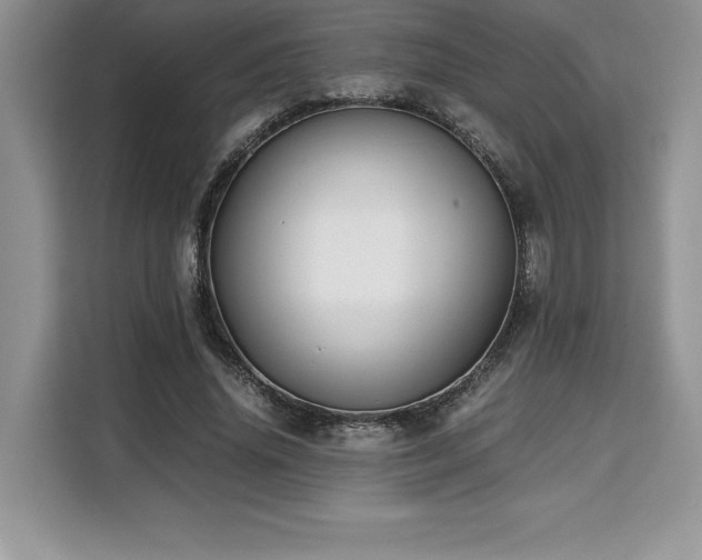 X0000110320636200905211527