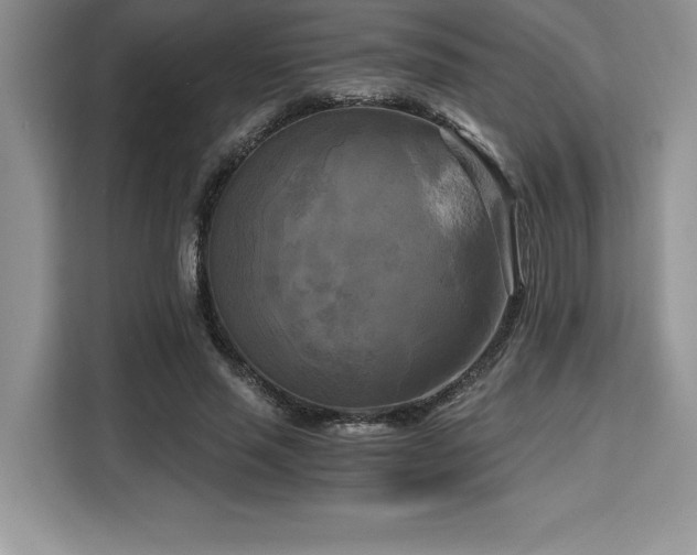 X0000110320637200905211527