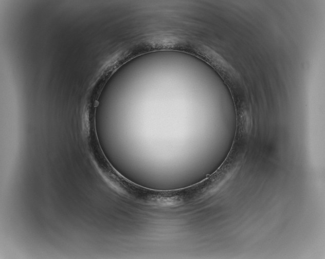 X0000110320638200905211527