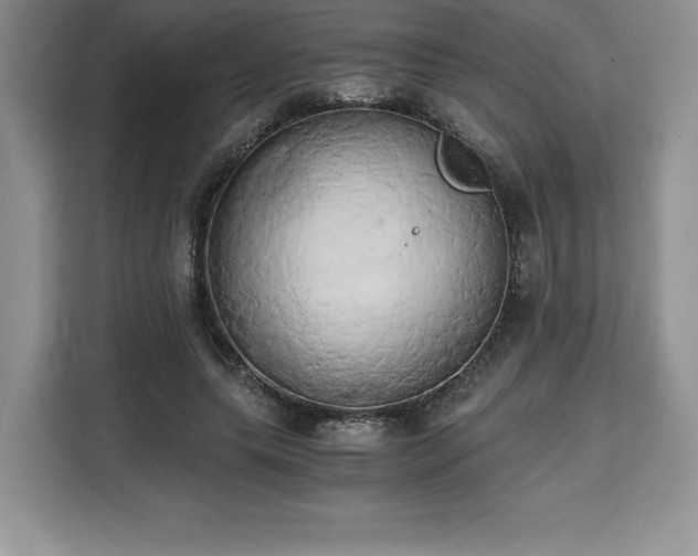 X0000110320639200905211527